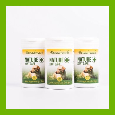 JOINT AND HEALTH SUPPLEMENTS FOR DOGS