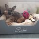 LUXURY X LARGE CLASSIC PET BED WITH FREE BEDDING